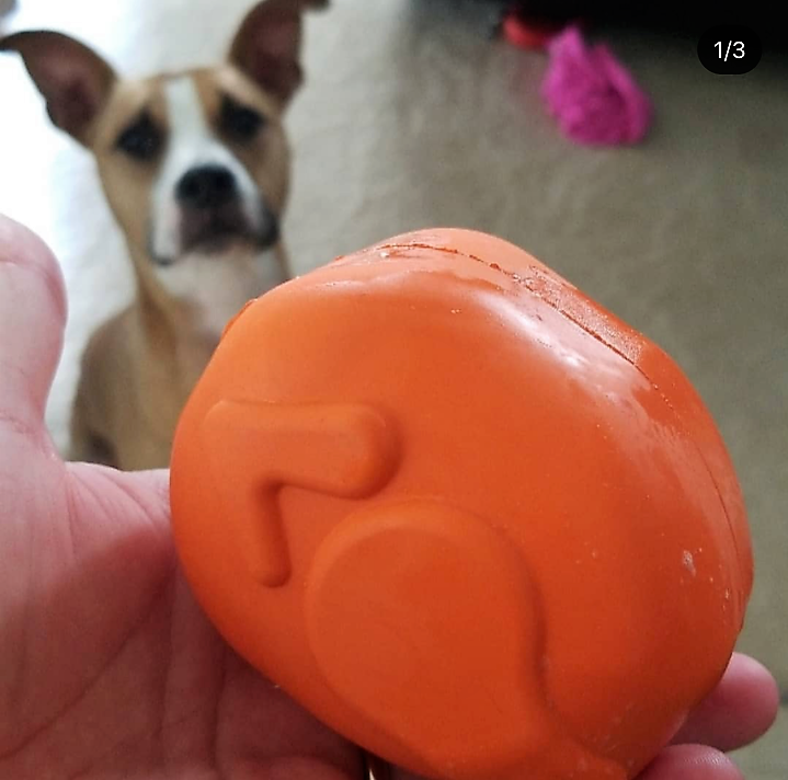 Roasted Turkey Dog Chew Toy & Treat Dispenser for Large Dogs