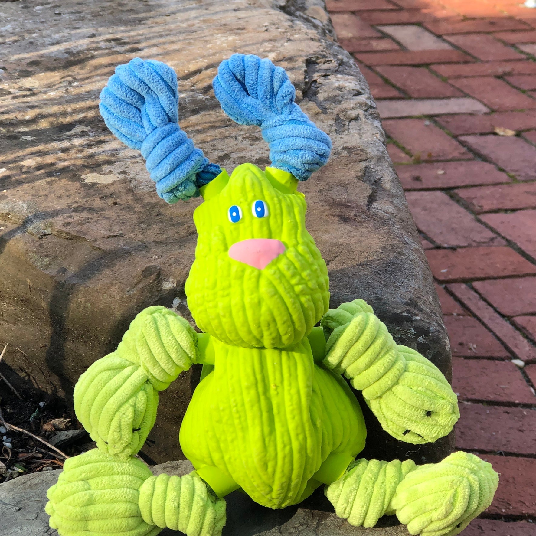 Bugsy Bunny Plush and Ruff-Tex Dog Toy, 10-Inch