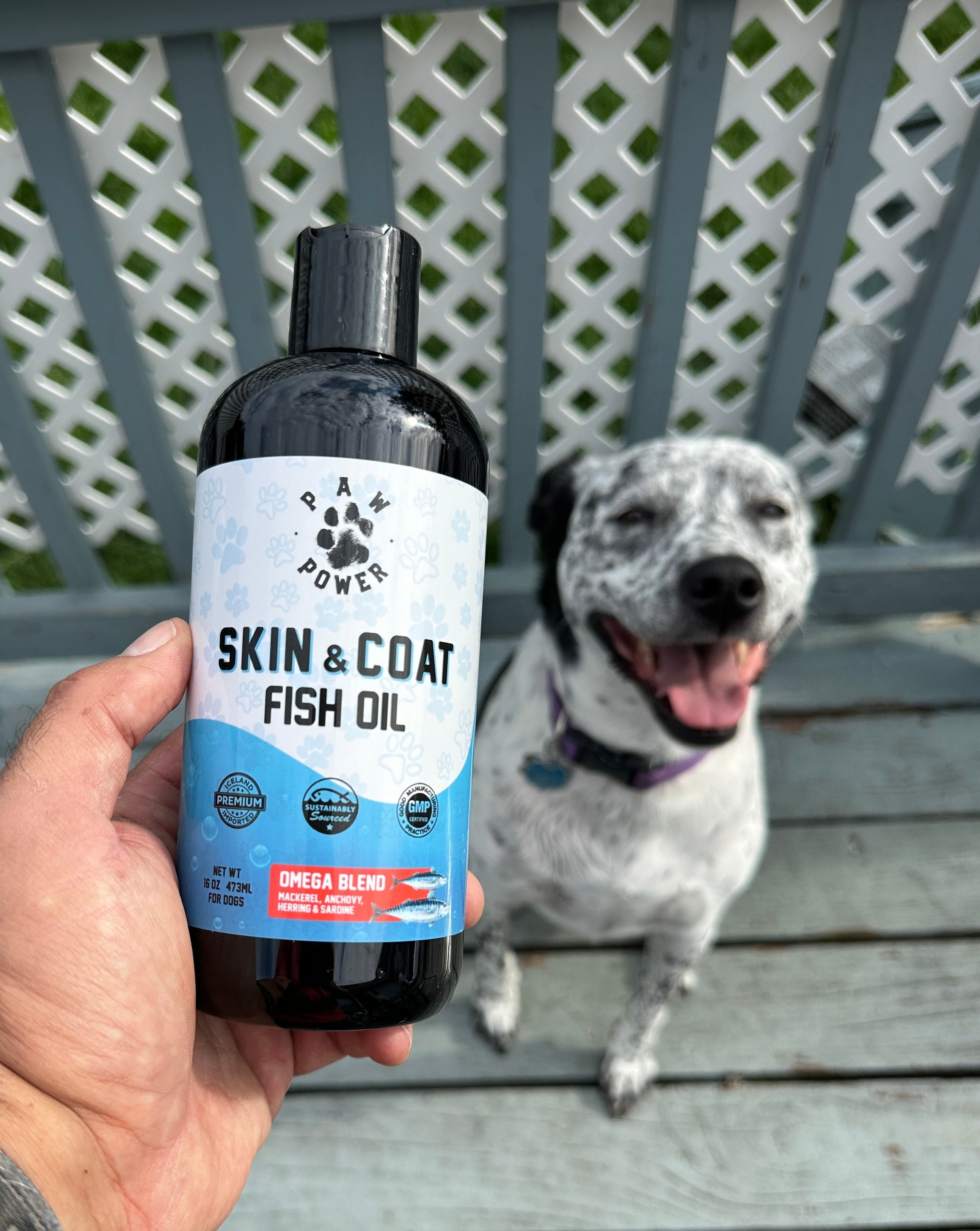 Skin & Coat Omega-3 Fish Oil for Dogs & Cats, 16 oz Pump