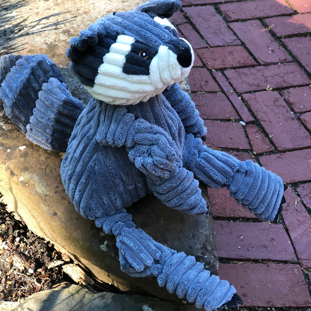 Knotted Plush Dog Toy with Multiple Squeakers, Small or Large