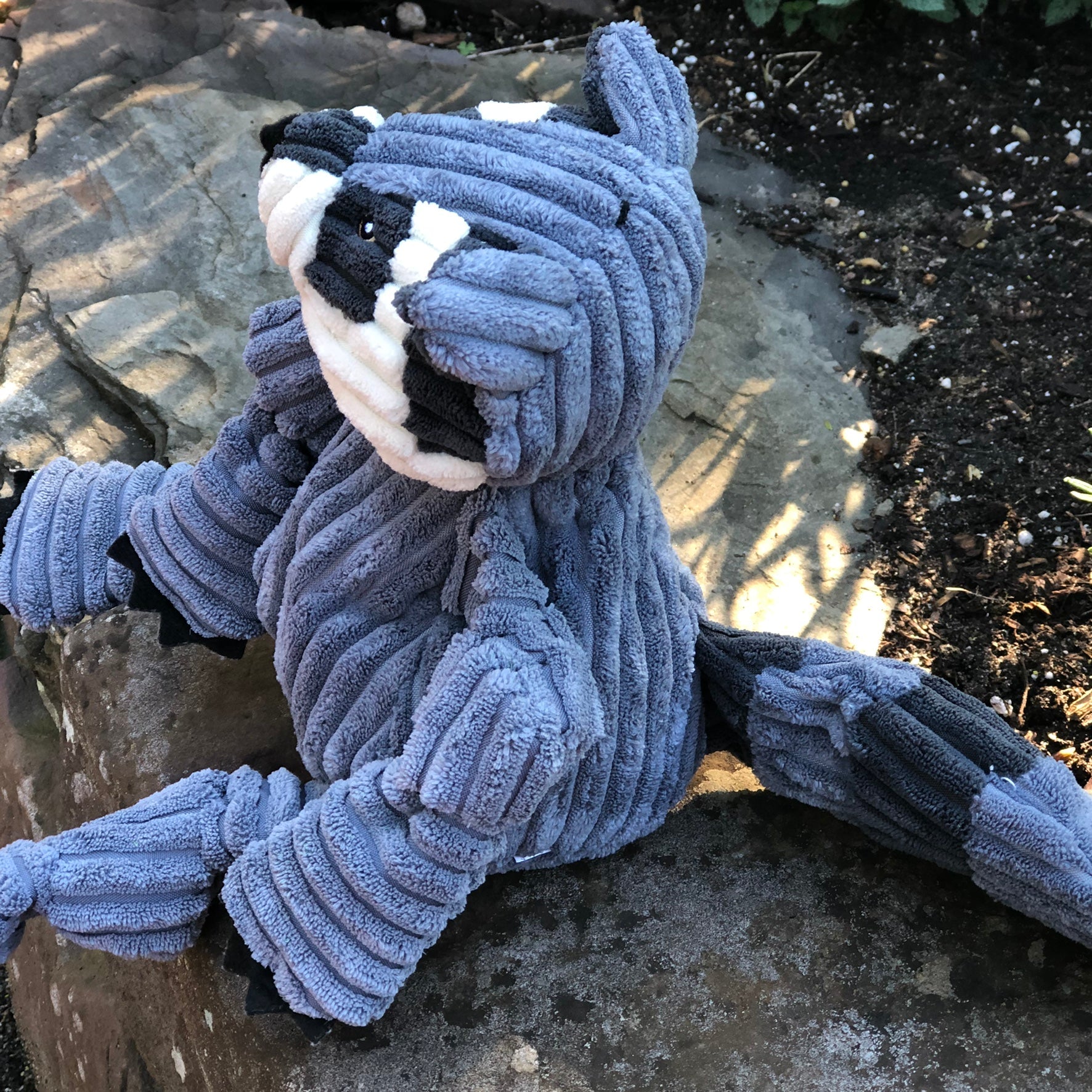 Knotted Plush Dog Toy with Multiple Squeakers, Small or Large