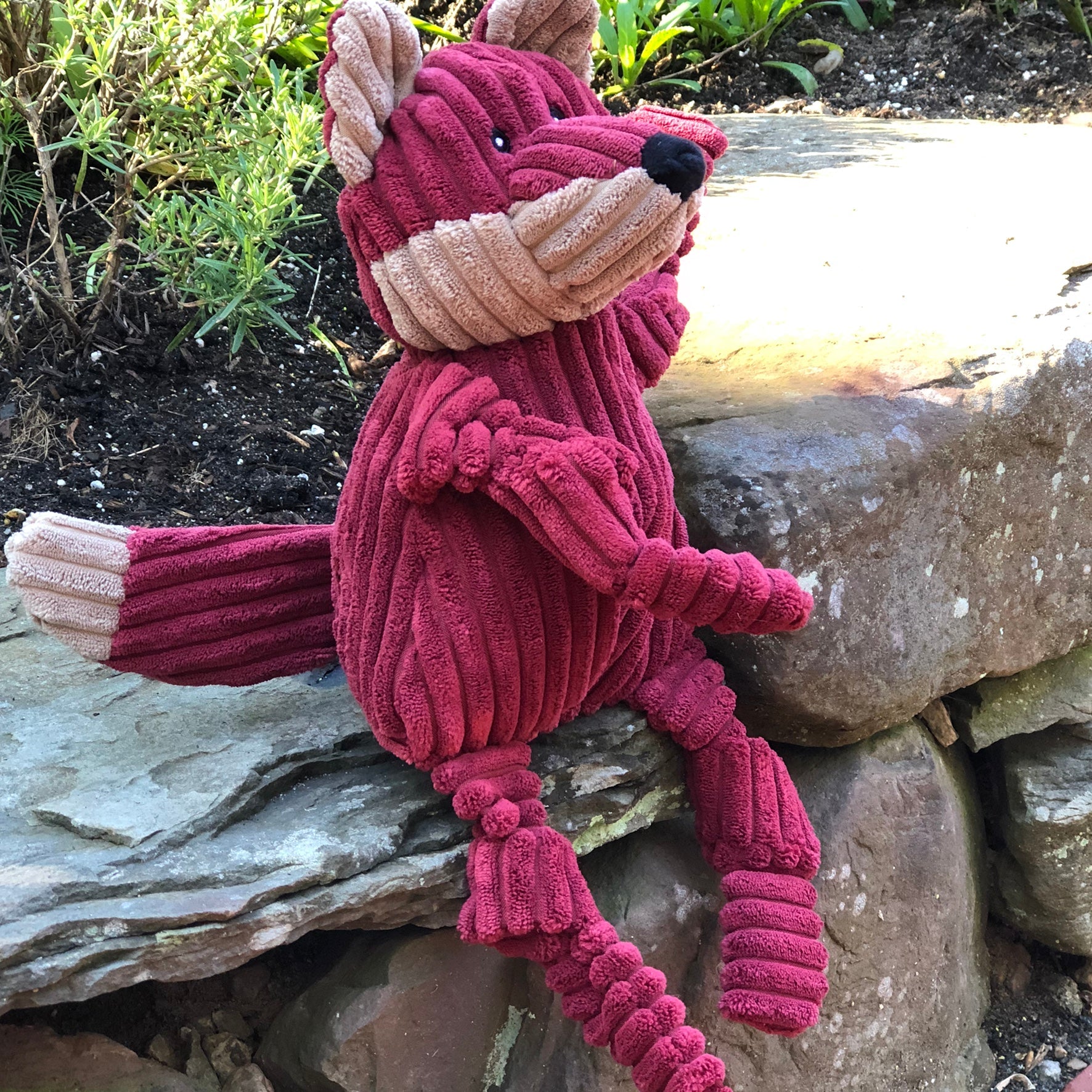 Knotted Plush Dog Toy with Multiple Squeakers, Small or Large