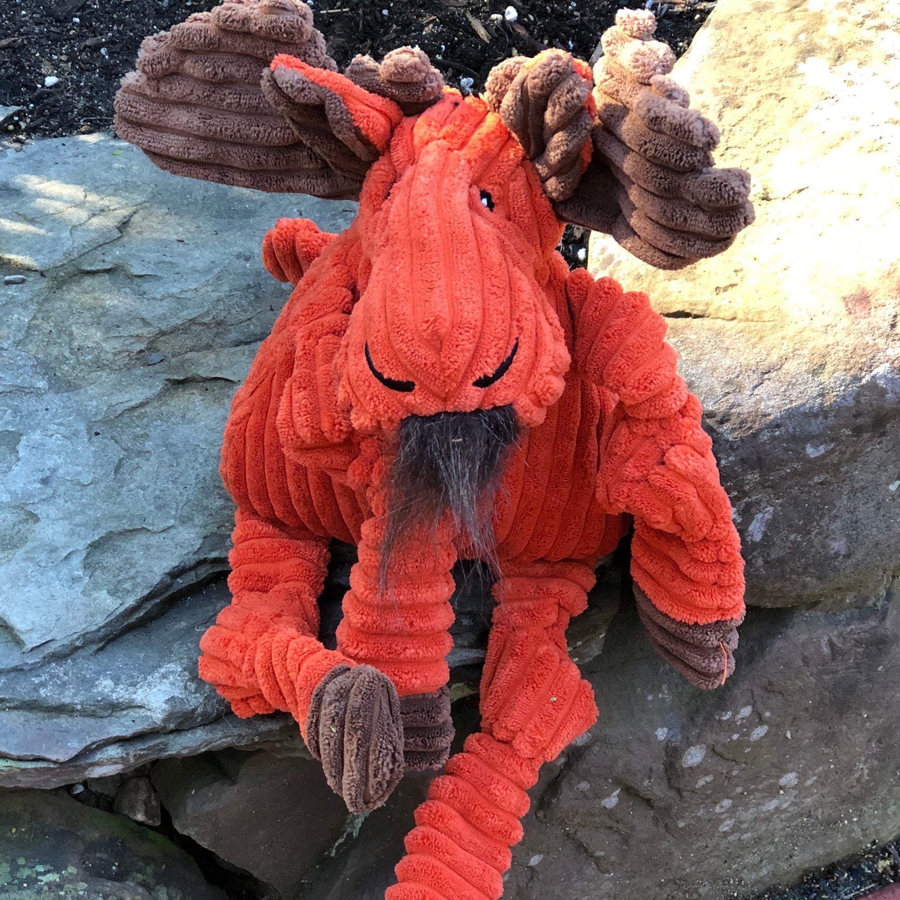 Knotted Plush Dog Toy with Multiple Squeakers