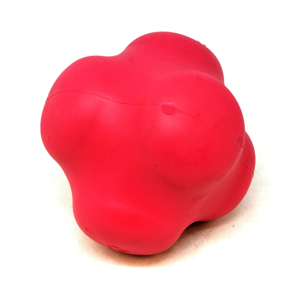 Crazy Bounce Solid Rubber Chew & Fetch Ball for Large Dogs