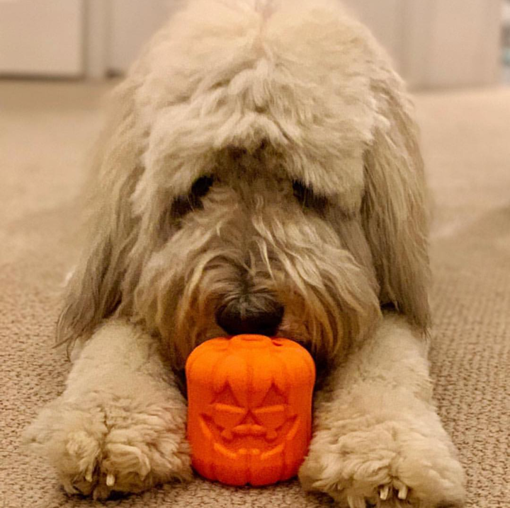 Jack O' Lantern Large Dog Chew Toy & Treat Dispenser, Natural Rubber
