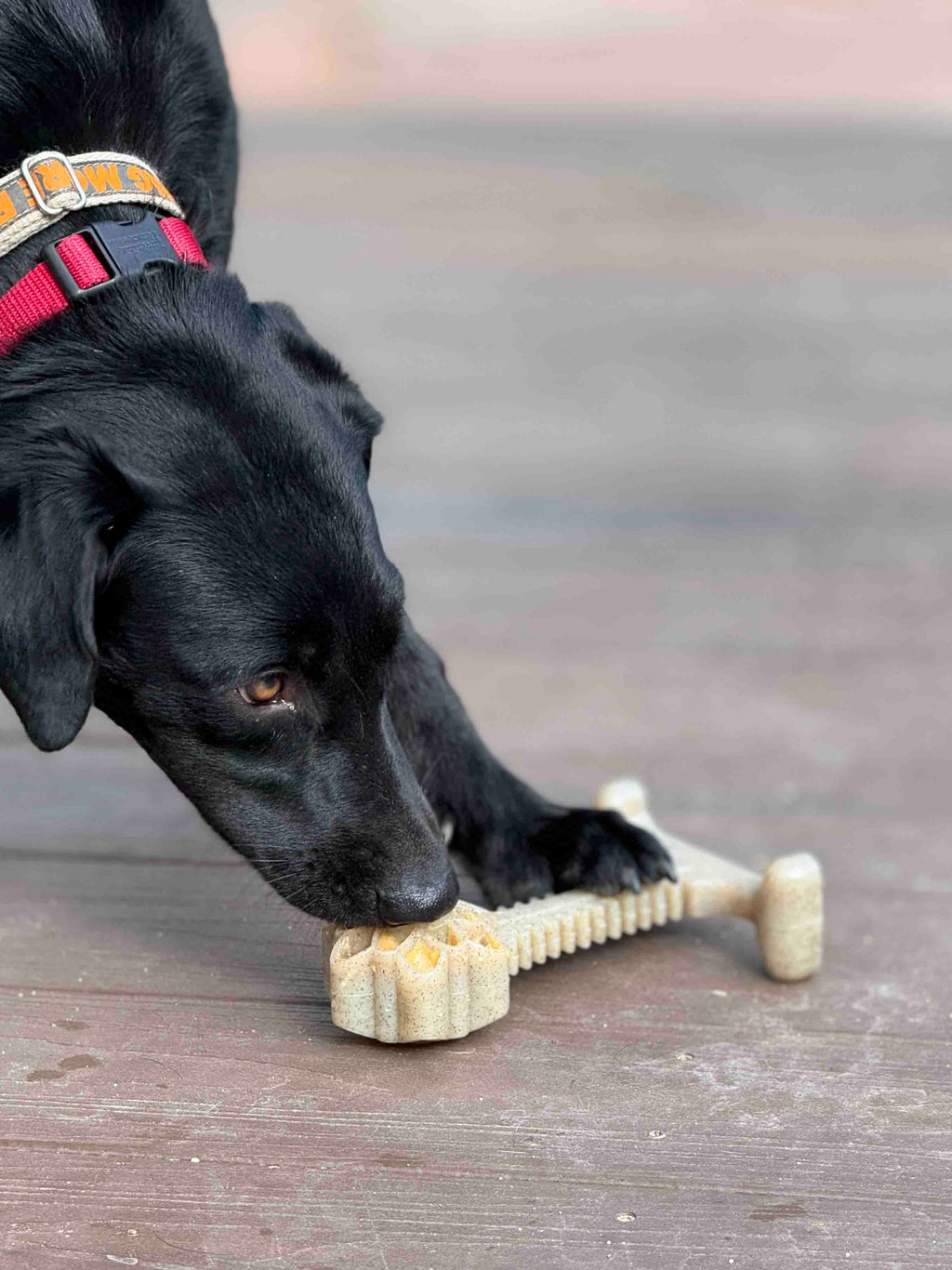 Honey Bone Dental Flower Tower Chew Toy for Medium & Large Dogs