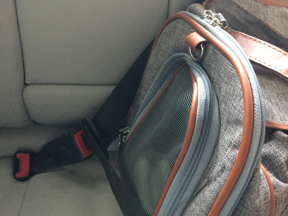 Mr. Peanut's Gold Series Big Apple Double Expandable Pet Carrier