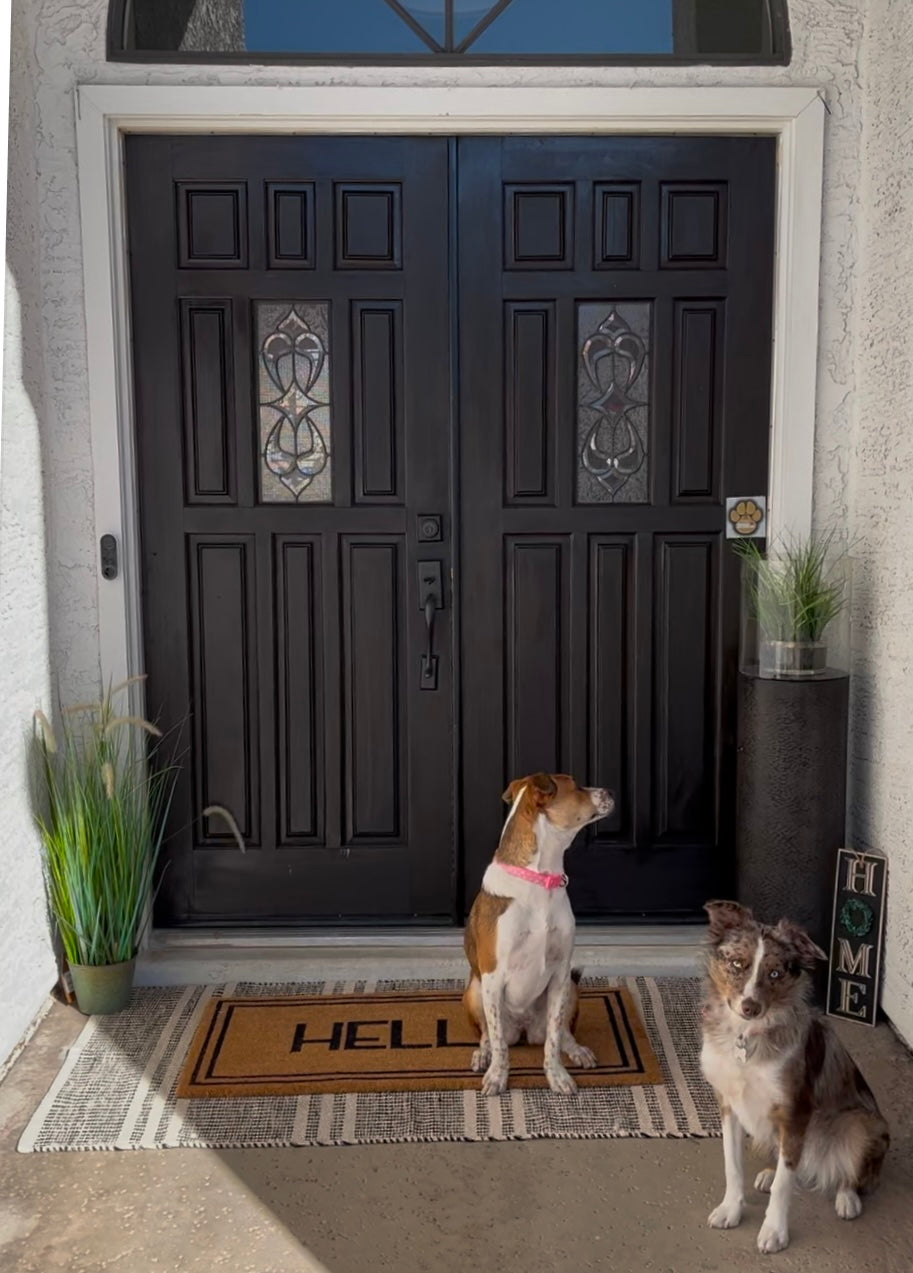Reflective Pet Alert Stickers for Home Doors and Windows, 2-Pack