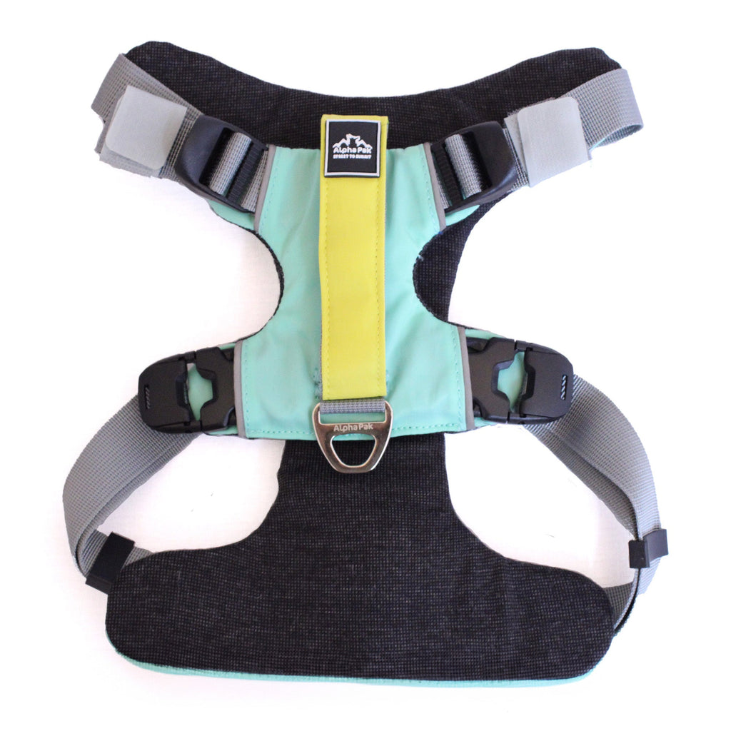 EZ Fit™ Adjustable Dog Harness with Padded Comfort