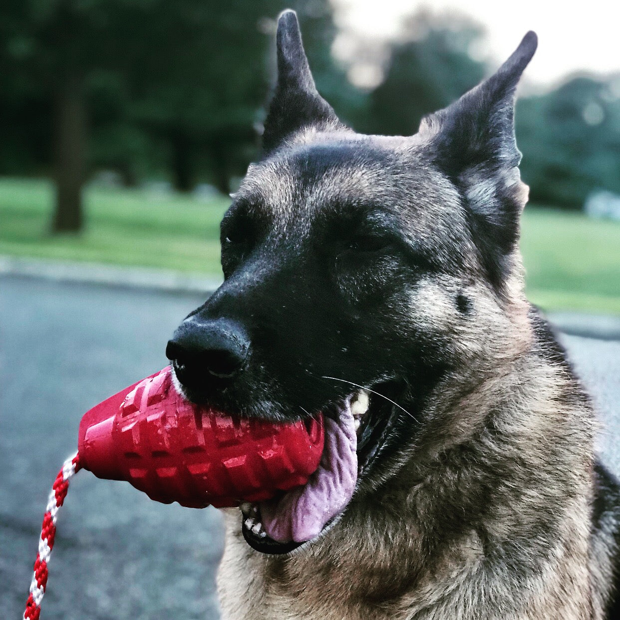 USA-K9 Grenade Rubber Dog Chew Toy, Large (30-60 lbs)