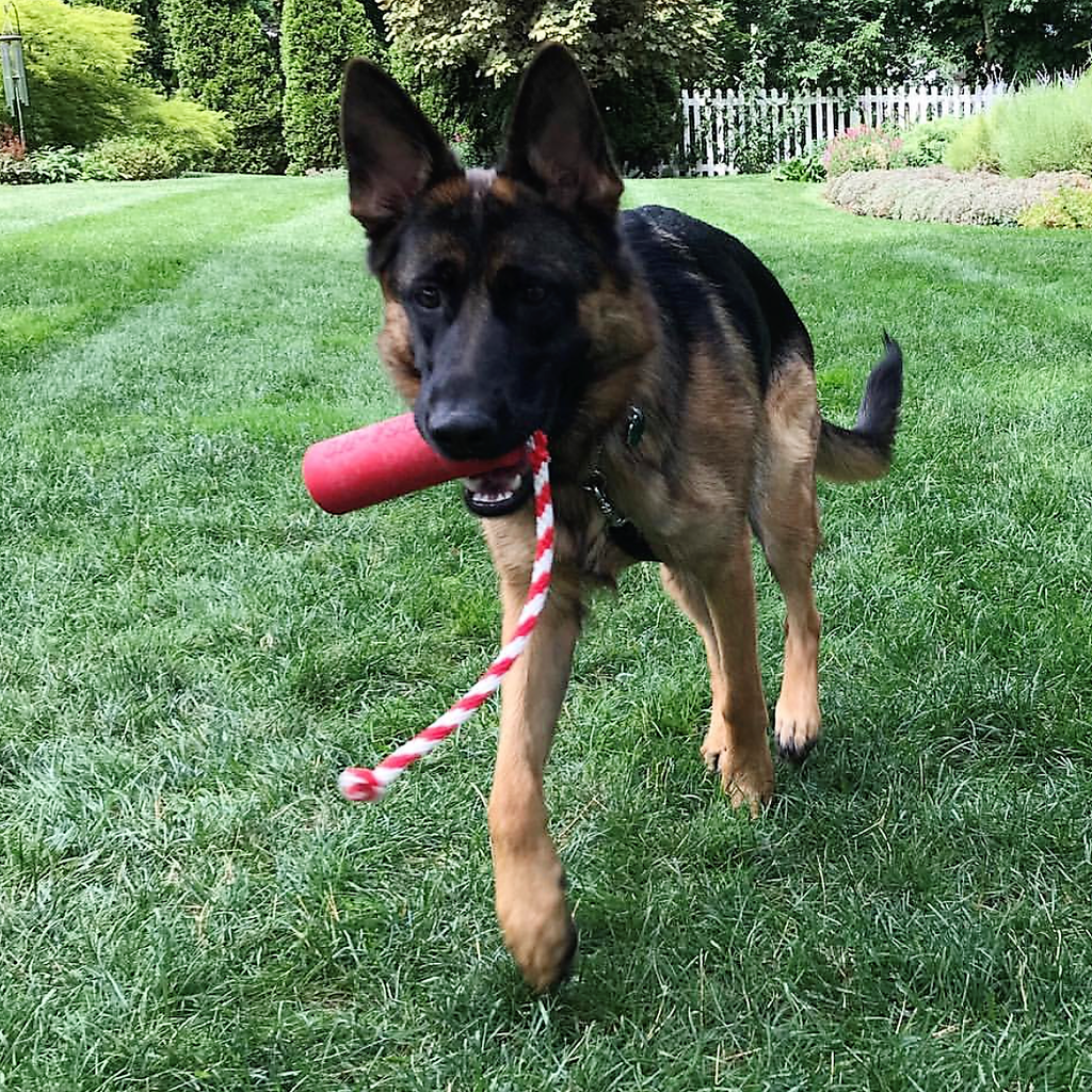 USA-K9 Firecracker Durable Rubber Floating Dog Training Dummy