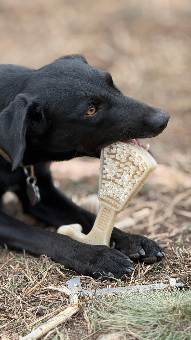 Waffle Tower Nylon Chew & Enrichment Toy for Dogs