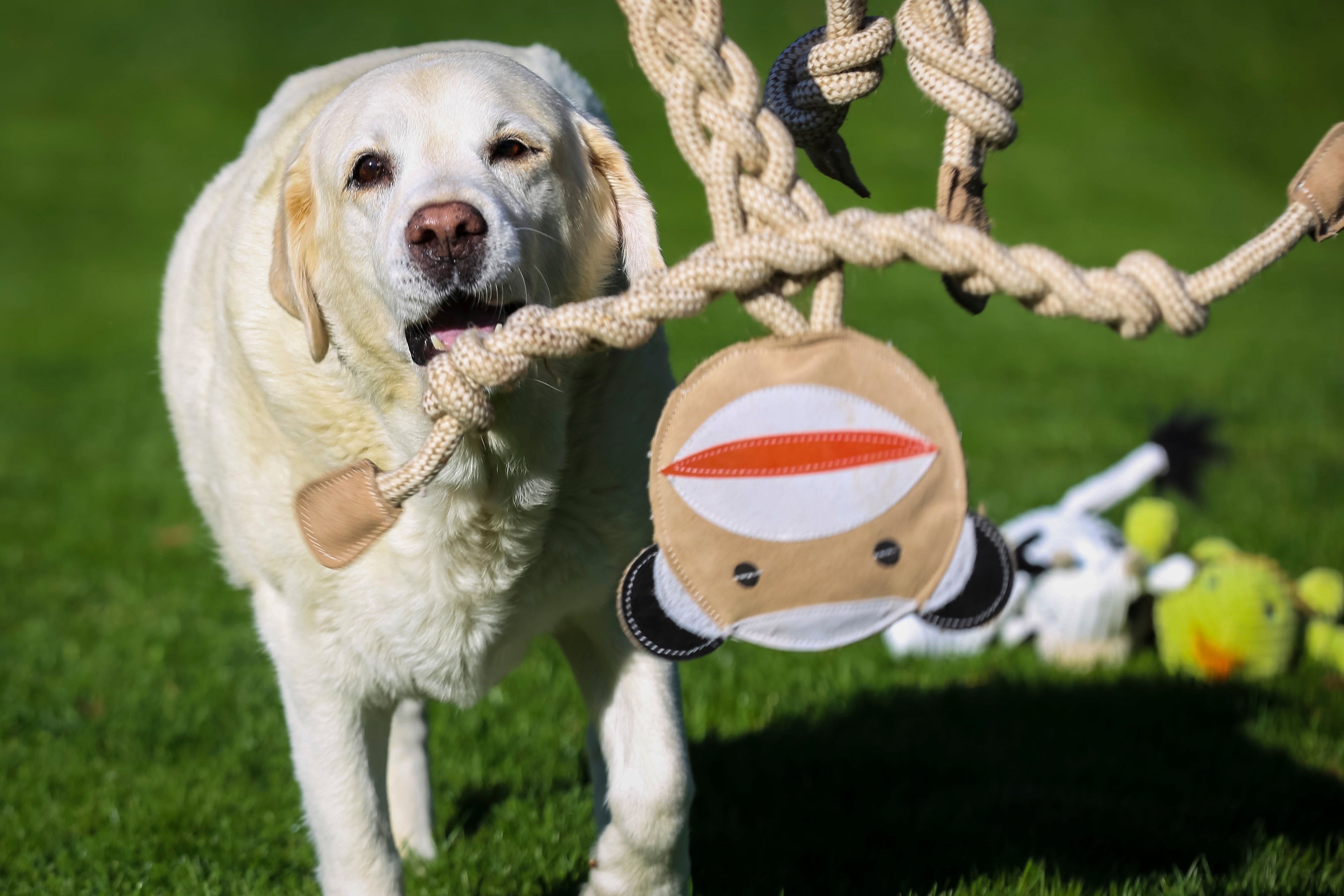 Stuey Sock Monkey Rope Dog Toy – 19" Natural Cotton & Hemp
