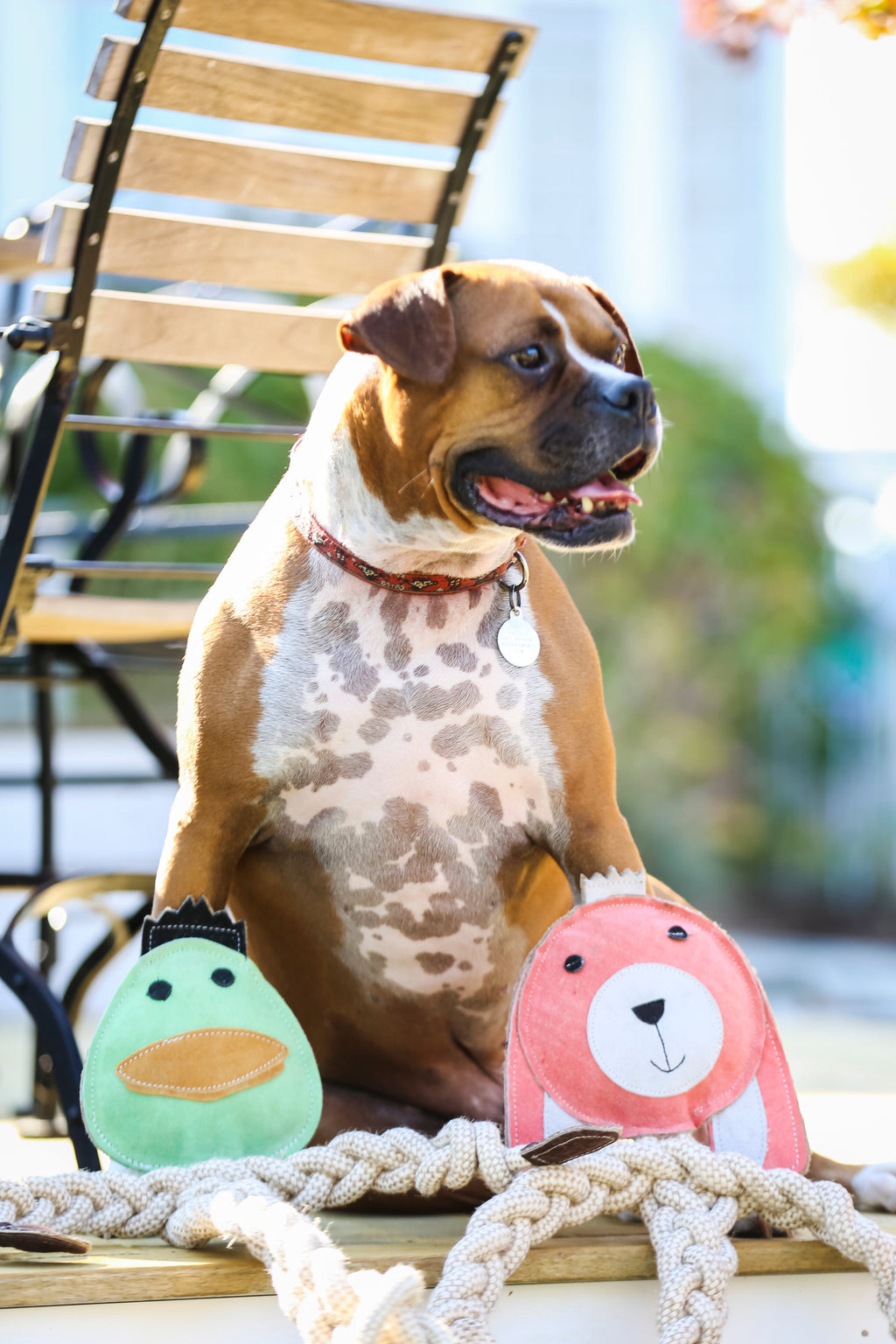 Dilly Duck Rope Dog Toy – Hemp & Cotton, 19" for Medium/Large Dogs