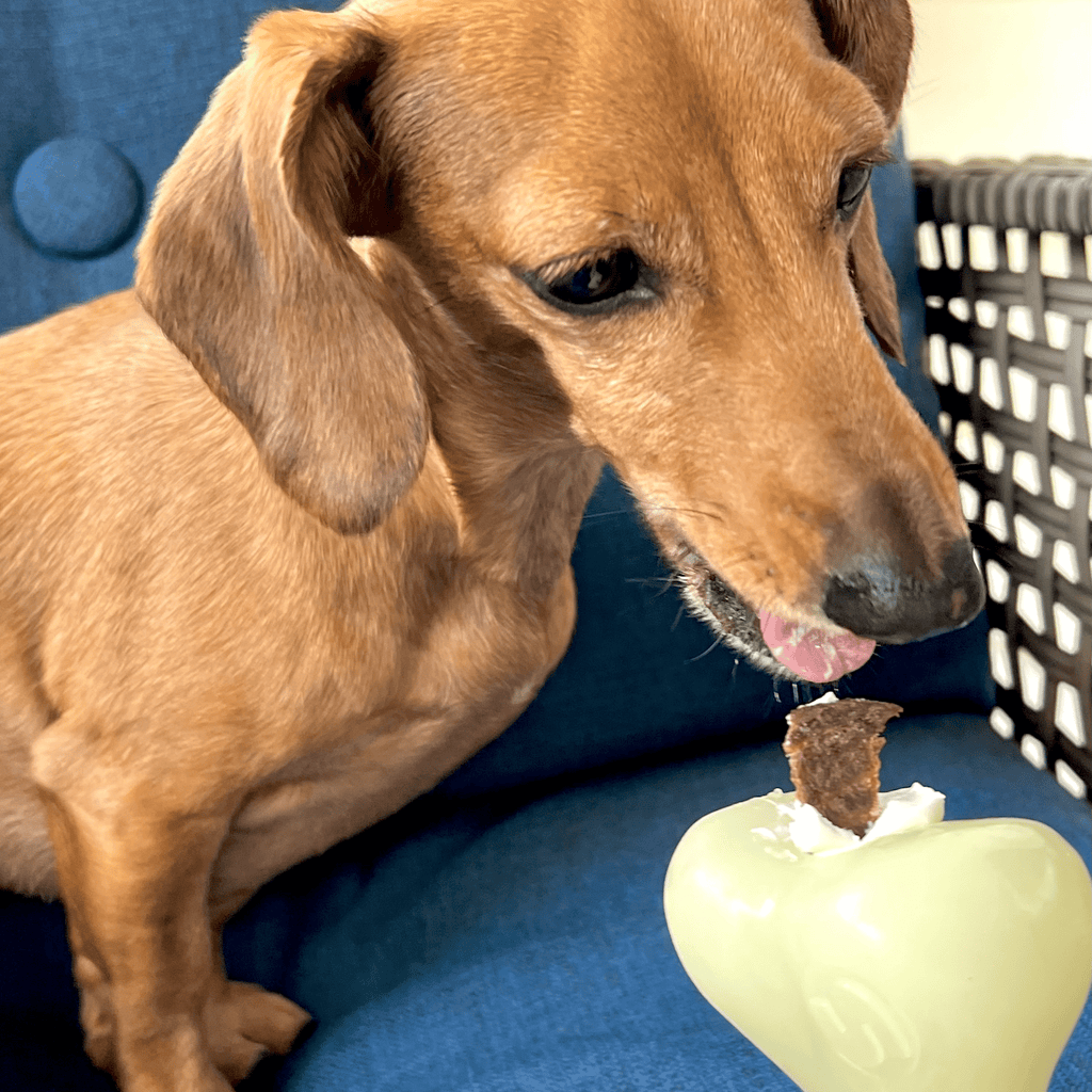 SodaPup Dog Treat Dispenser for Medium to Large Dogs