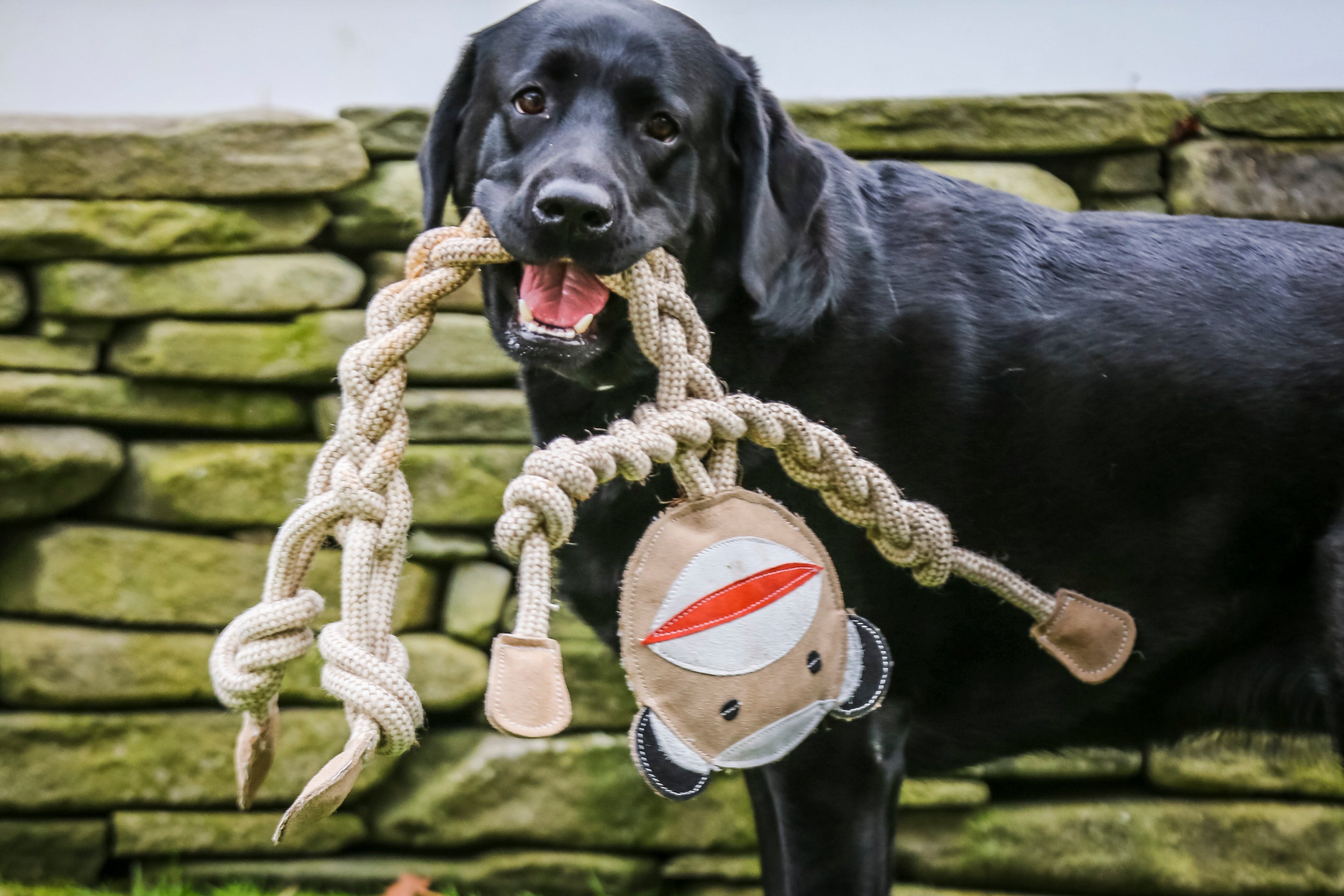 Rope Knotties® Dog Tug Toy Set – Natural Cotton, Hemp, Leather