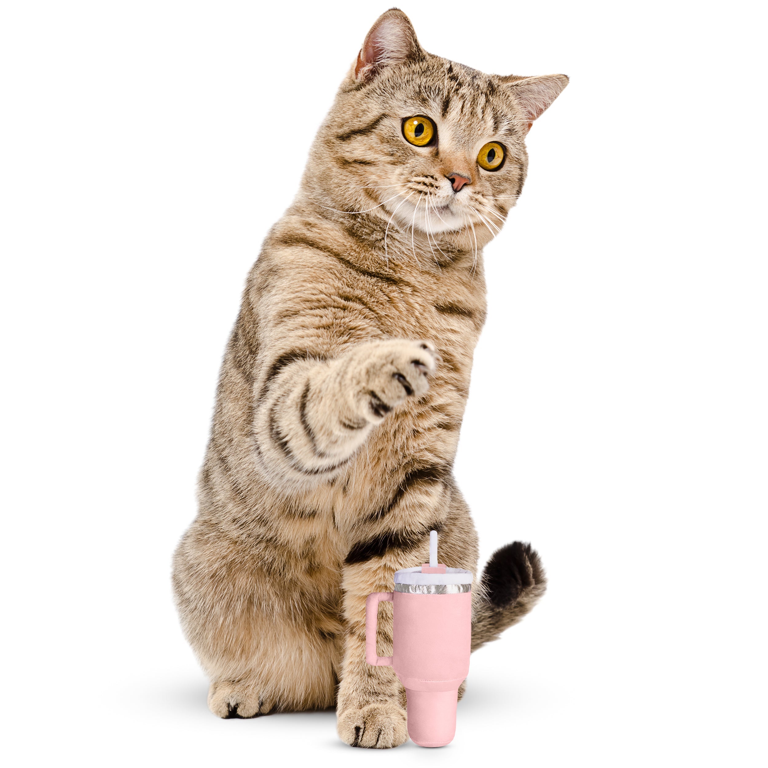 PUPROAR Kitty Cup Plush Cat Toy with Catnip and Crinkle Paper