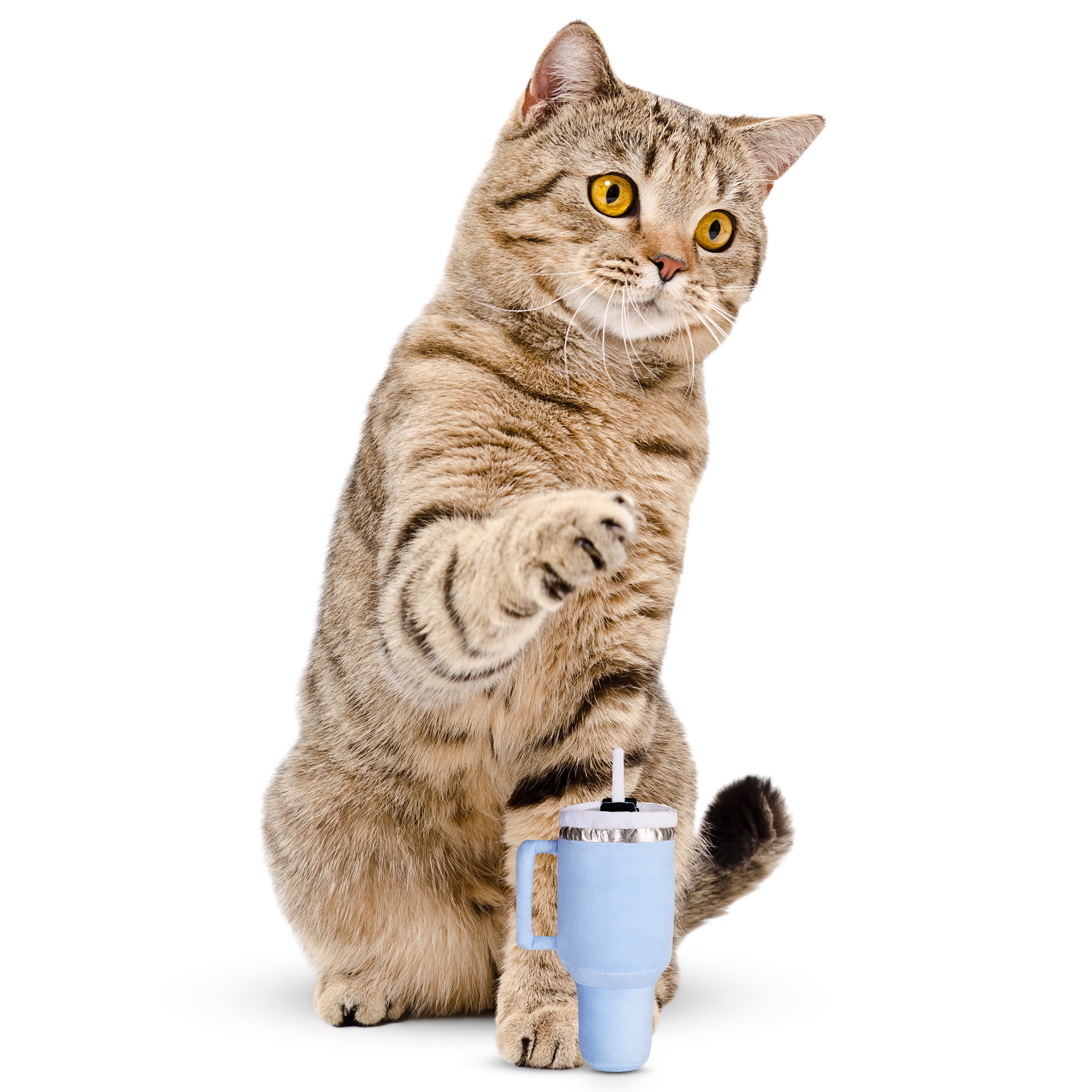 PUPROAR Kitty Cup Plush Cat Toy with Catnip and Crinkle Paper