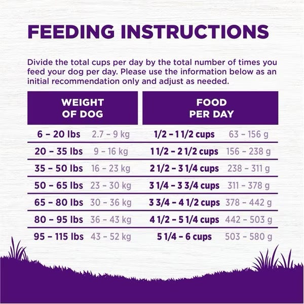 Deboned Beef & Whole Grains Dry Dog Food for All Life Stages