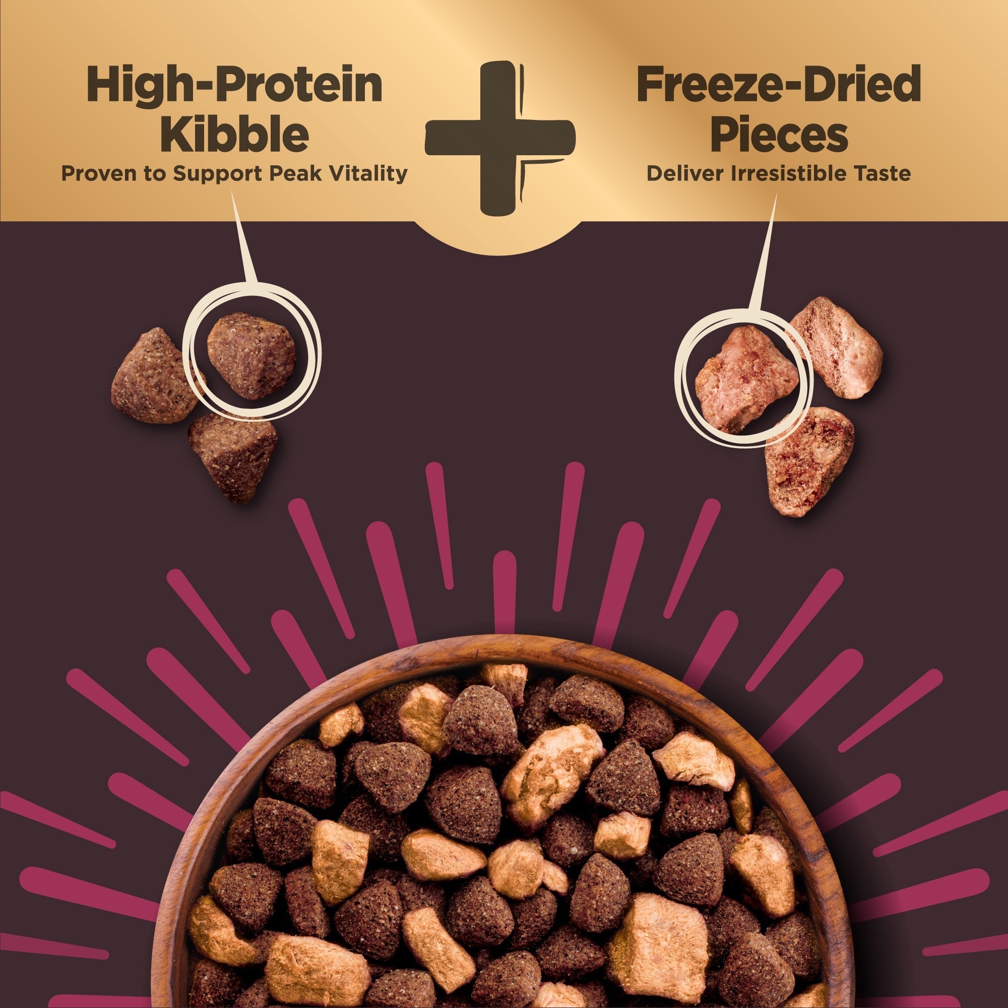 High-Protein Grain-Free Dog Food with Deboned Turkey & Raw Meat