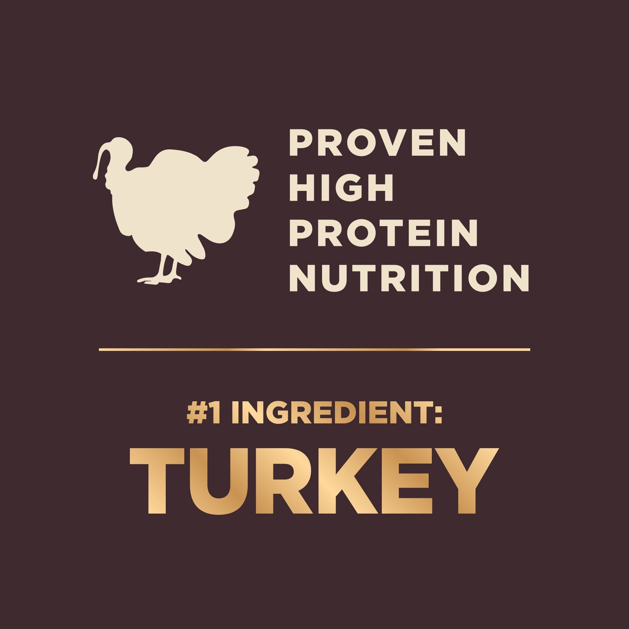High-Protein Grain-Free Dog Food with Deboned Turkey & Raw Meat