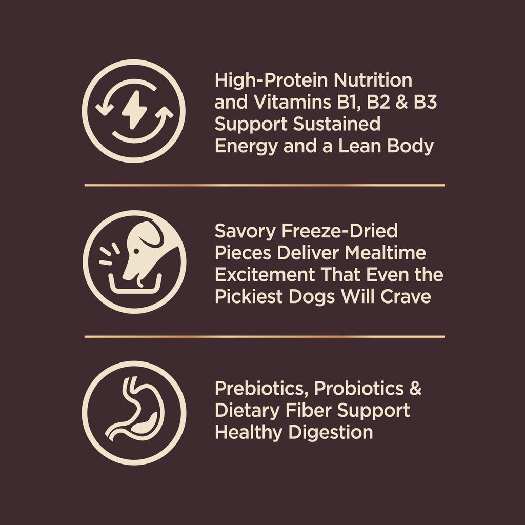 High-Protein Grain-Free Dog Food with Deboned Turkey & Raw Meat