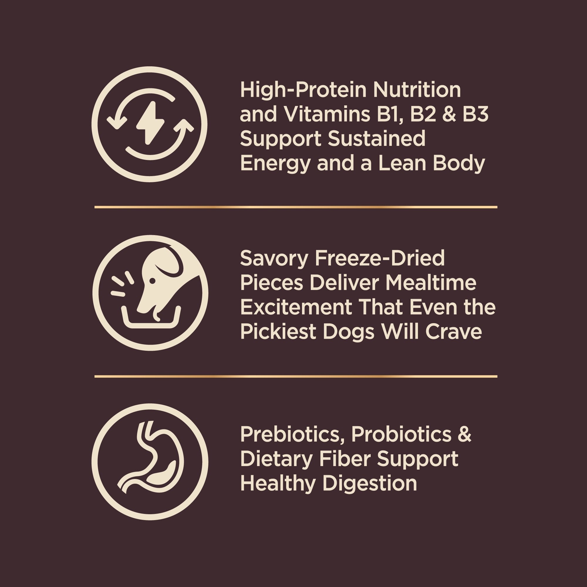 High-Protein Grain-Free Dog Food with Deboned Turkey & Raw Meat
