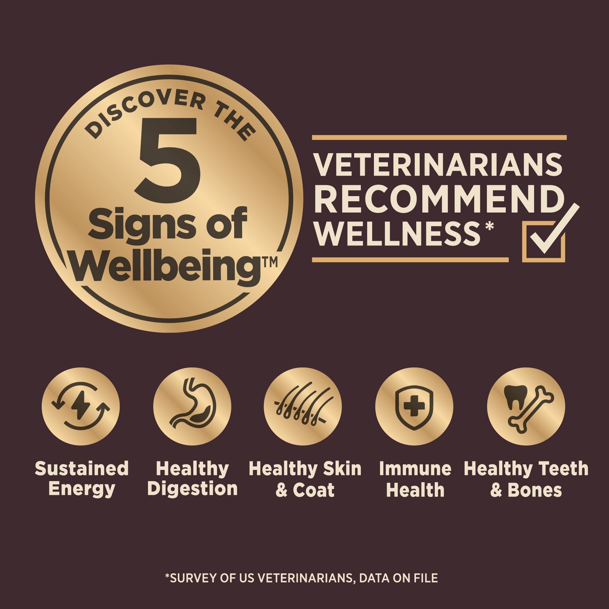 High-Protein Grain-Free Dog Food with Deboned Turkey & Raw Meat