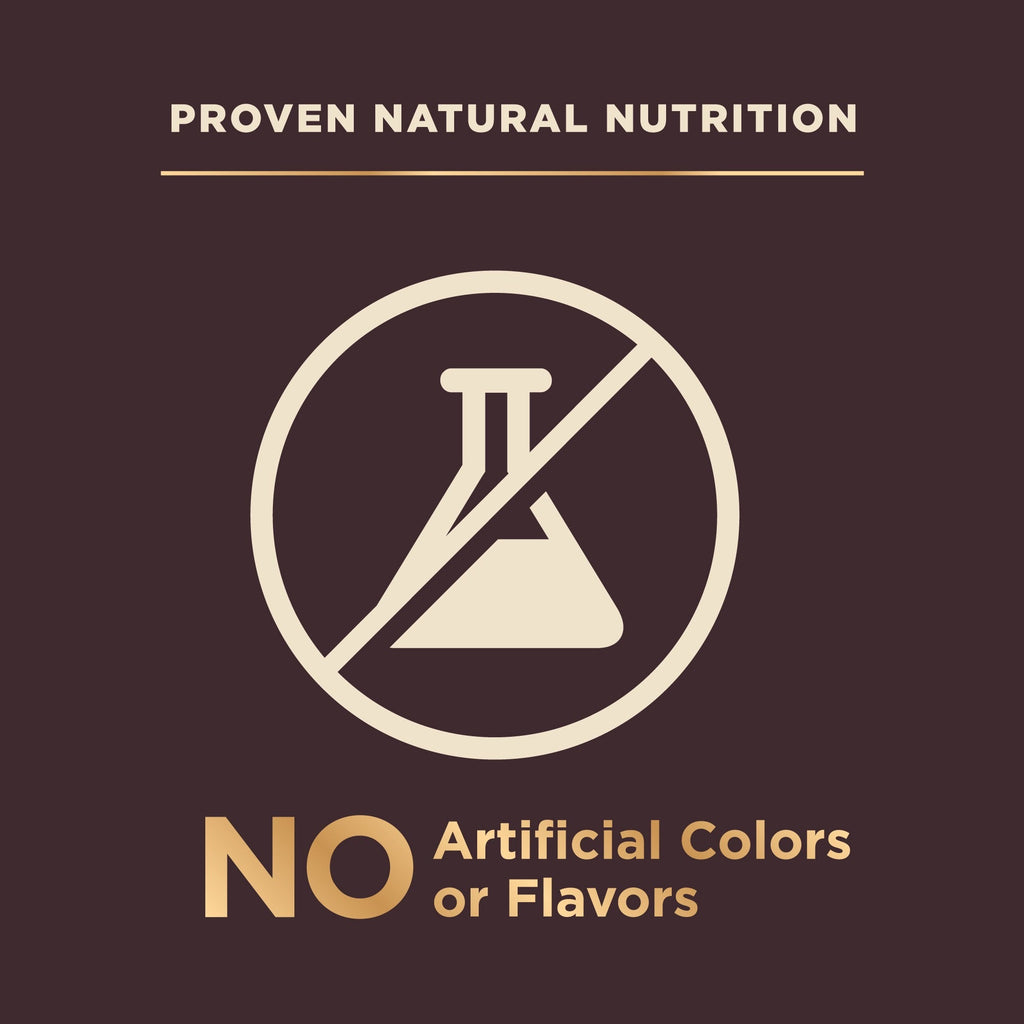 High-Protein Grain-Free Dog Food with Deboned Turkey & Raw Meat
