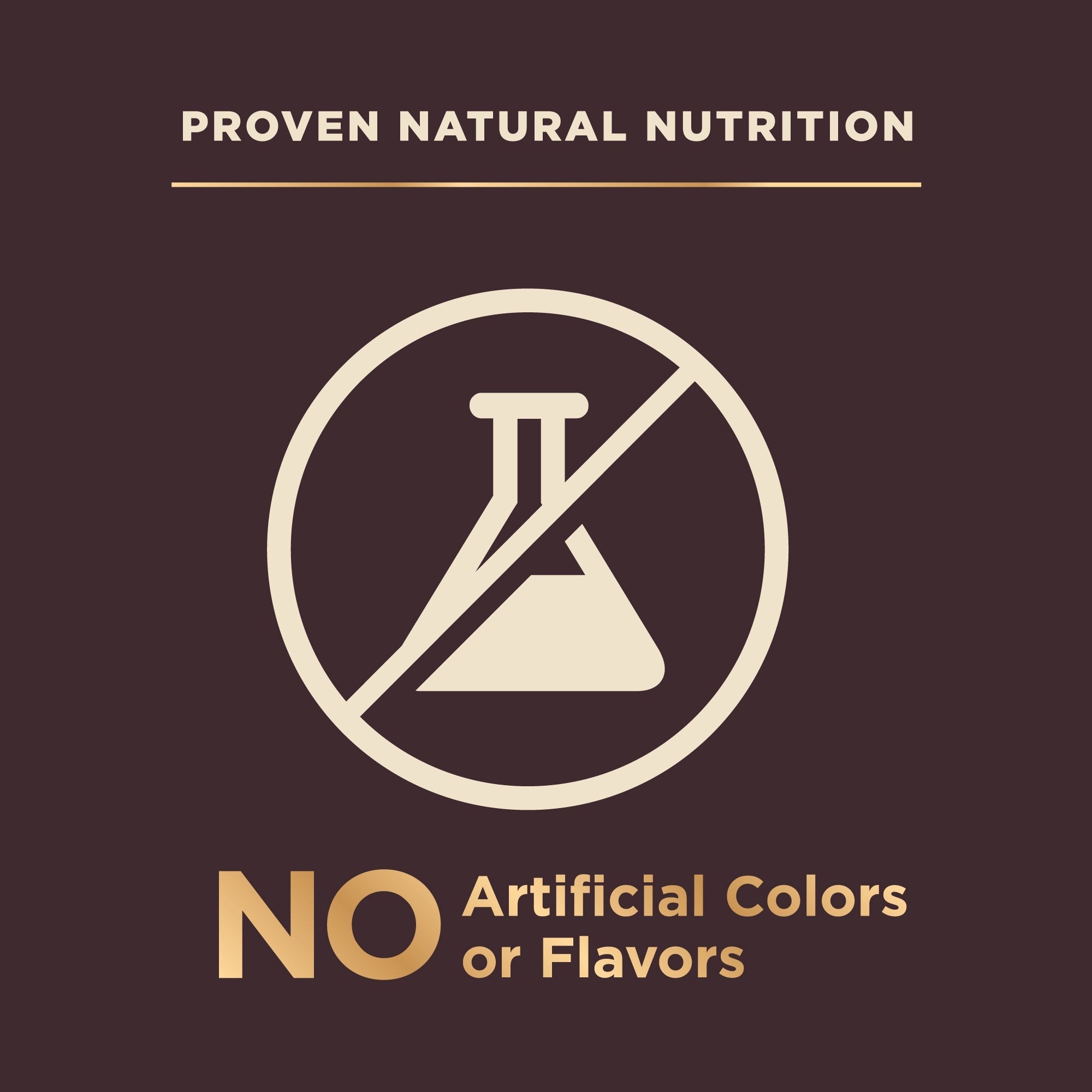 High-Protein Grain-Free Dog Food with Deboned Turkey & Raw Meat