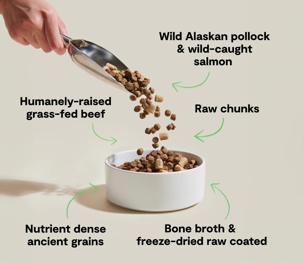 Freeze-Dried Raw Dog Food with Pollock, Salmon, Beef & Ancient Grains