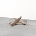 Stag Antler Dog Chew – Natural, Odor-Free, EU Sourced
