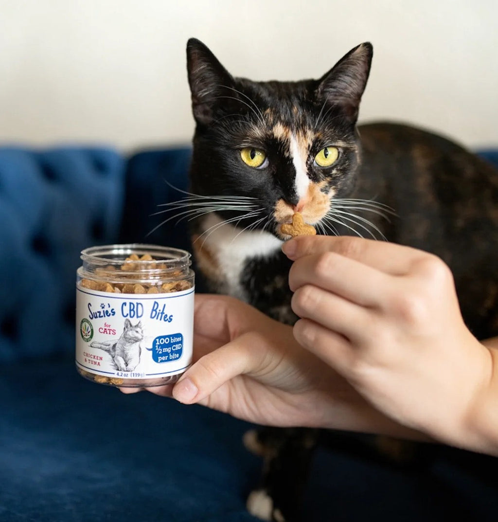 CBD Cat Bites with Chicken & Tuna, 100 Count