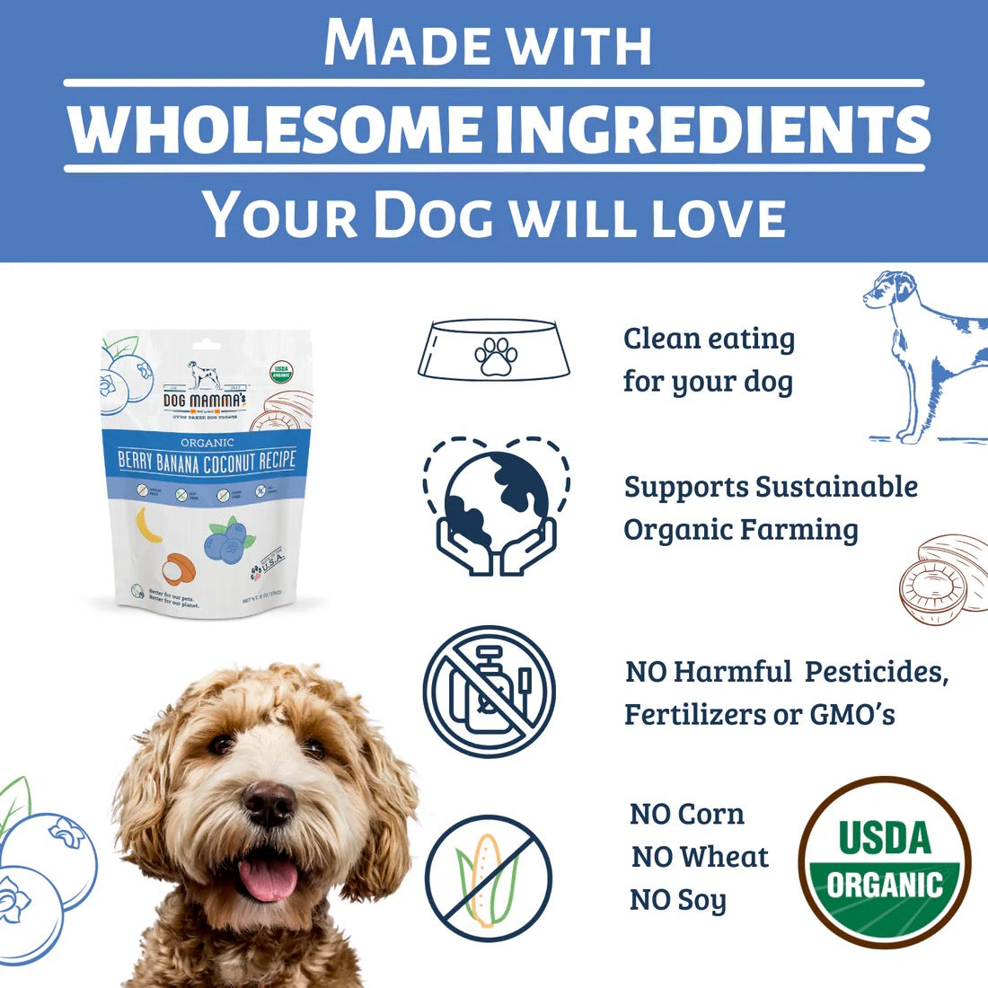 Organic Berry Banana Coconut Dog Treats