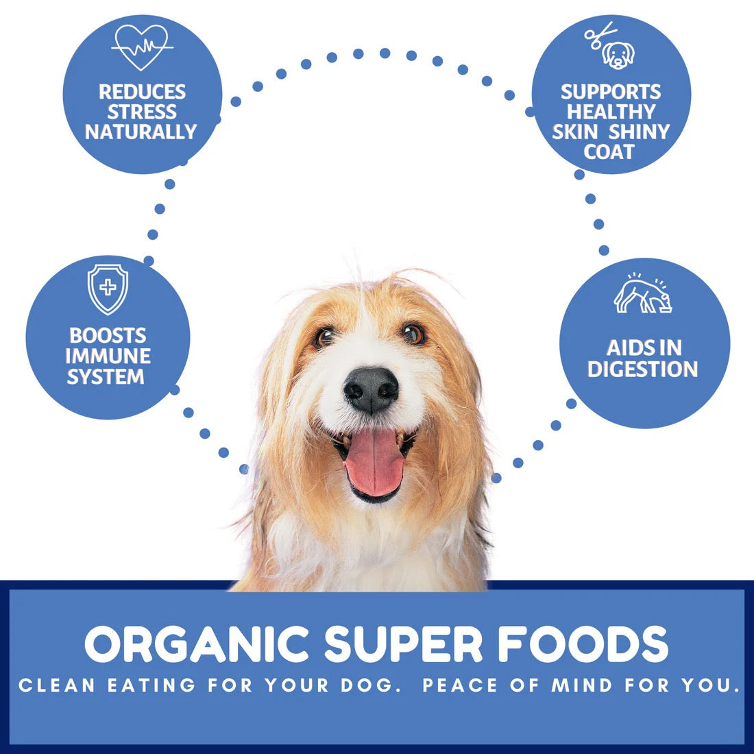 Organic Berry Banana Coconut Dog Treats