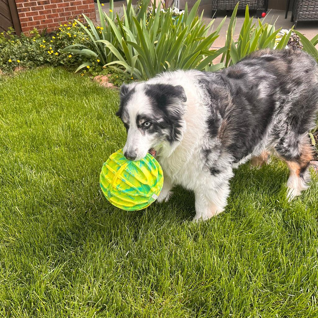 KONG FlexBall Durable Fetch Toy for Dogs