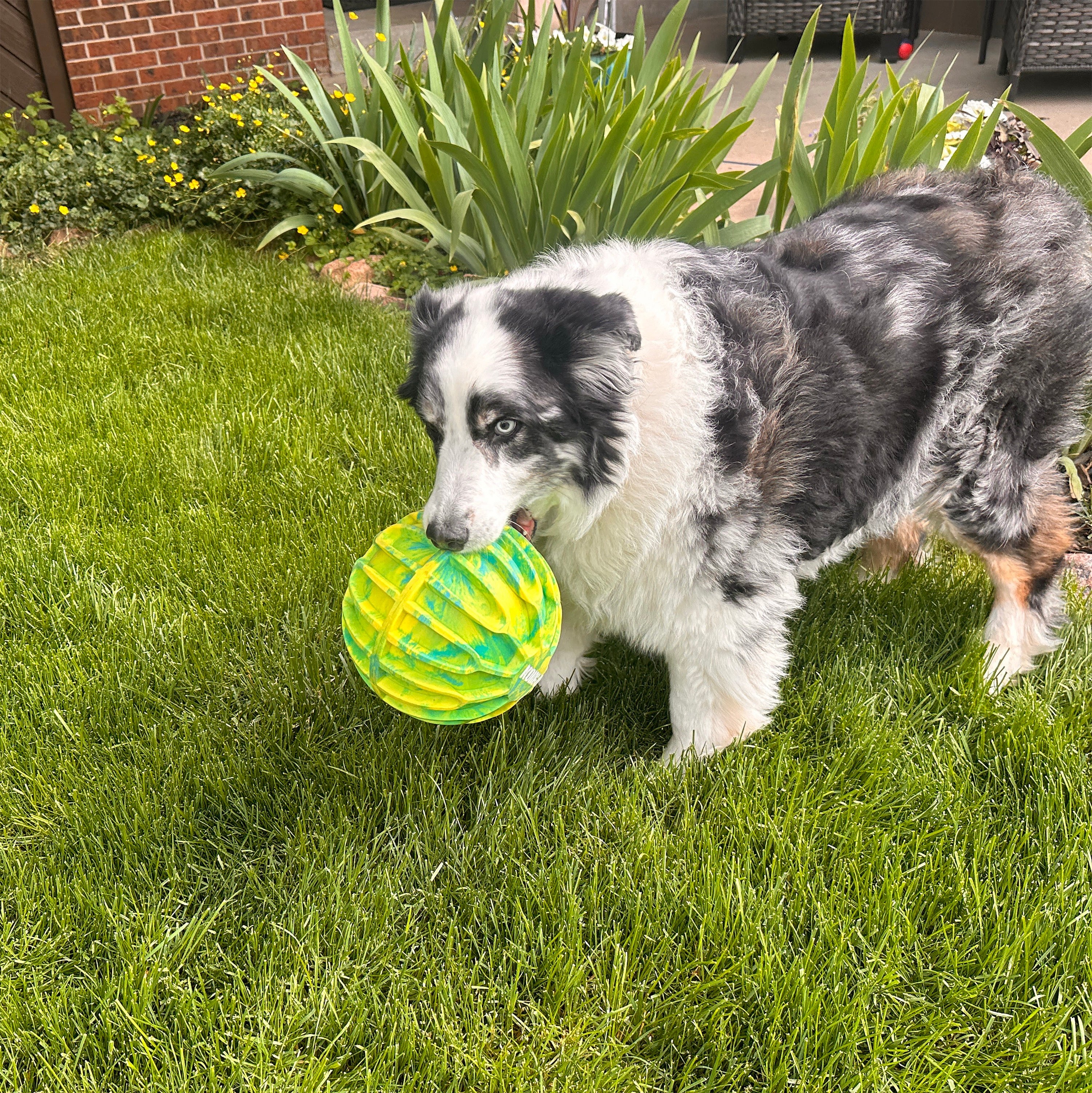 KONG FlexBall Durable Fetch Toy for Dogs