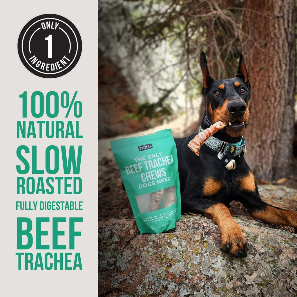 Beef Trachea Chews for Dogs – Single Ingredient Treat