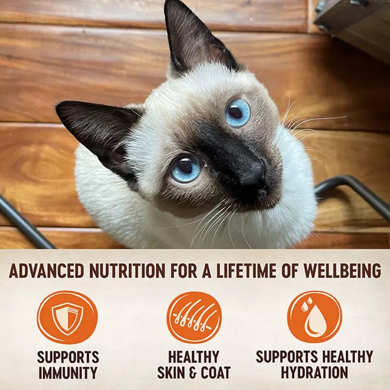 Chicken Pâté Cat Food Pouch – Grain-Free, Single Serve