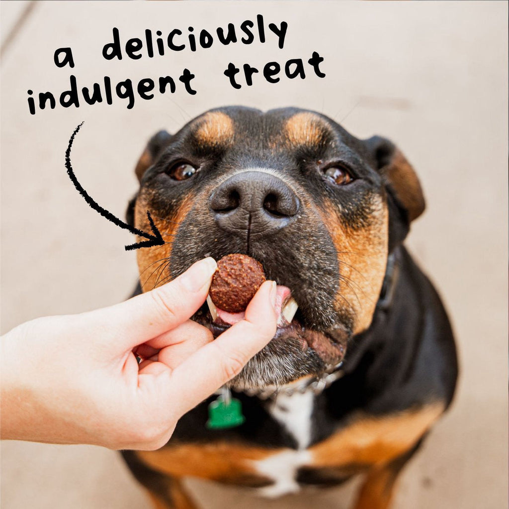 Beef Soft Meatball Dog Treats – Grain-Free, Minimally Processed