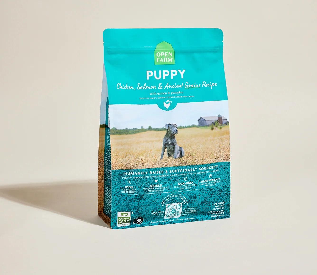 Puppy Dry Dog Food with Salmon, Chicken & Ancient Grains