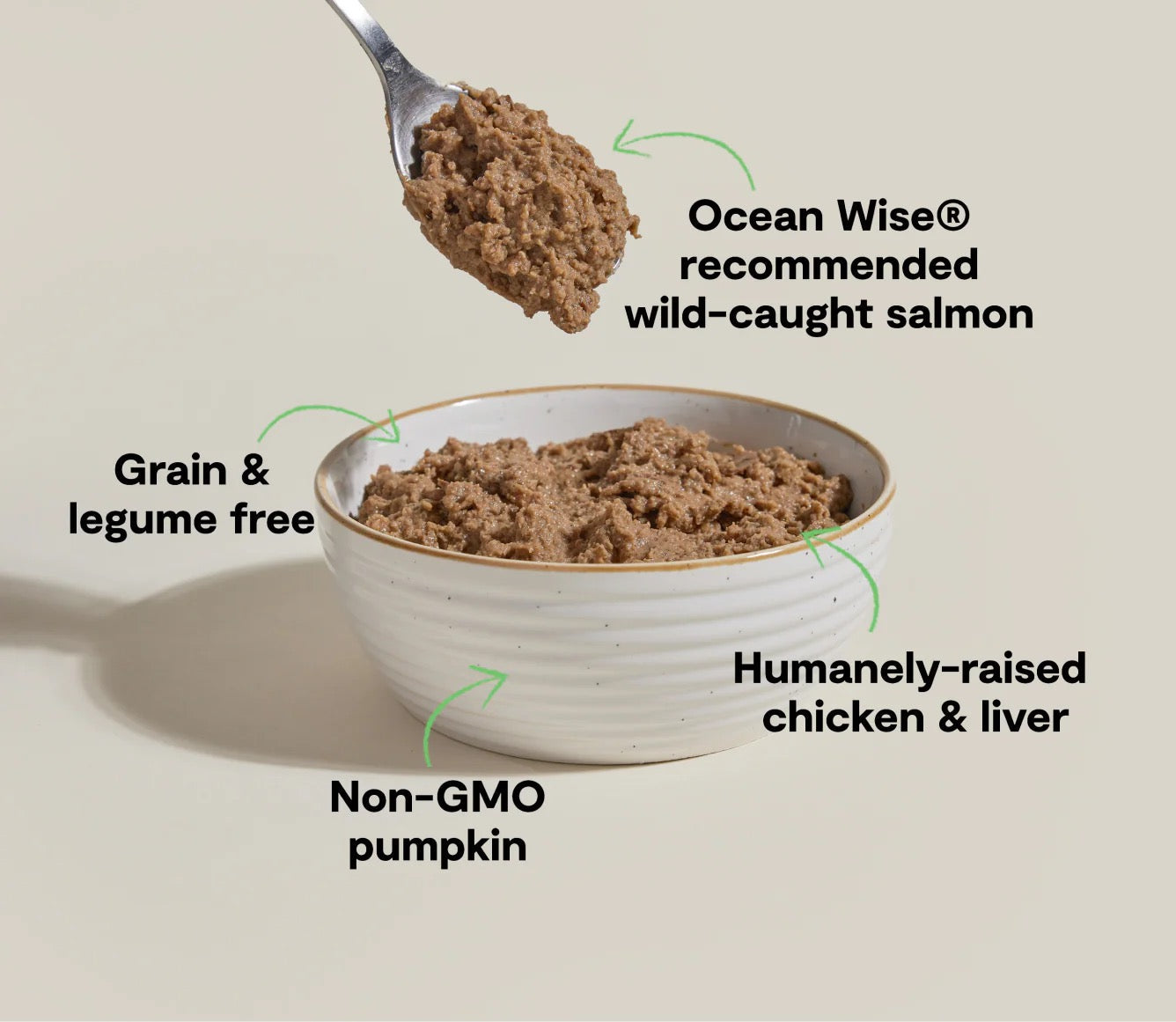 Wild-Caught Salmon & Chicken Pâté Cat Food with Pumpkin