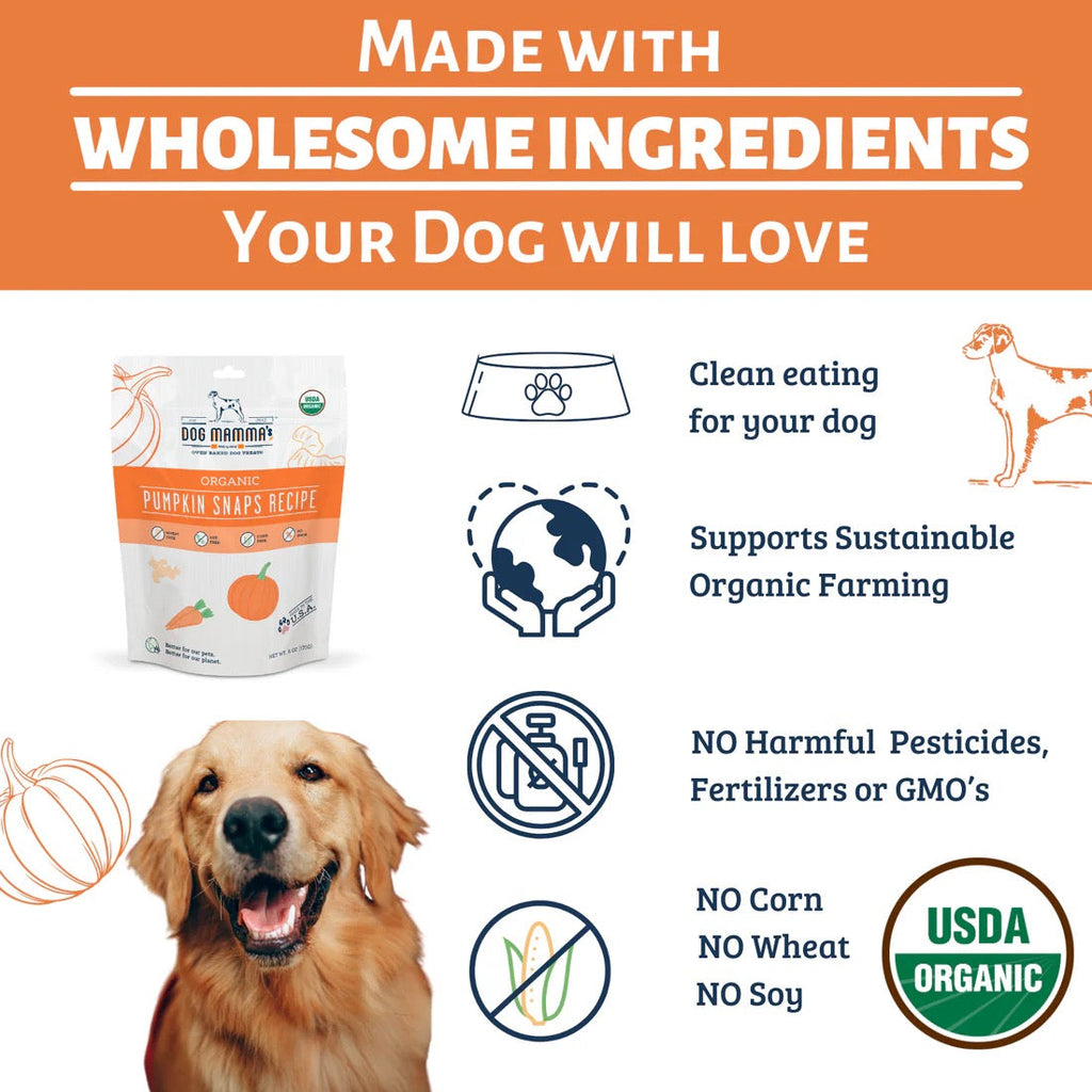 Organic Pumpkin & Carrot Dog Treats with Ginger and Cinnamon