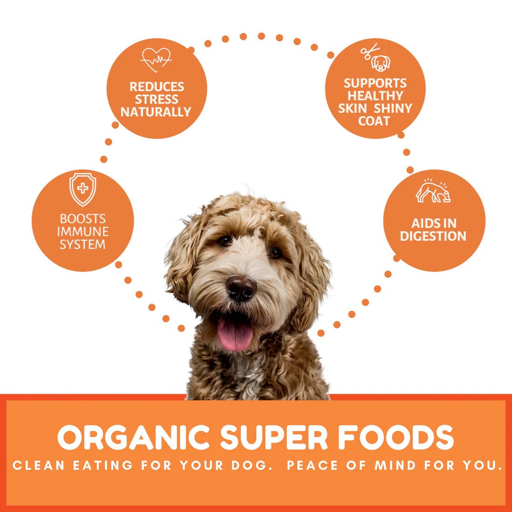 Organic Pumpkin & Carrot Dog Treats with Ginger and Cinnamon
