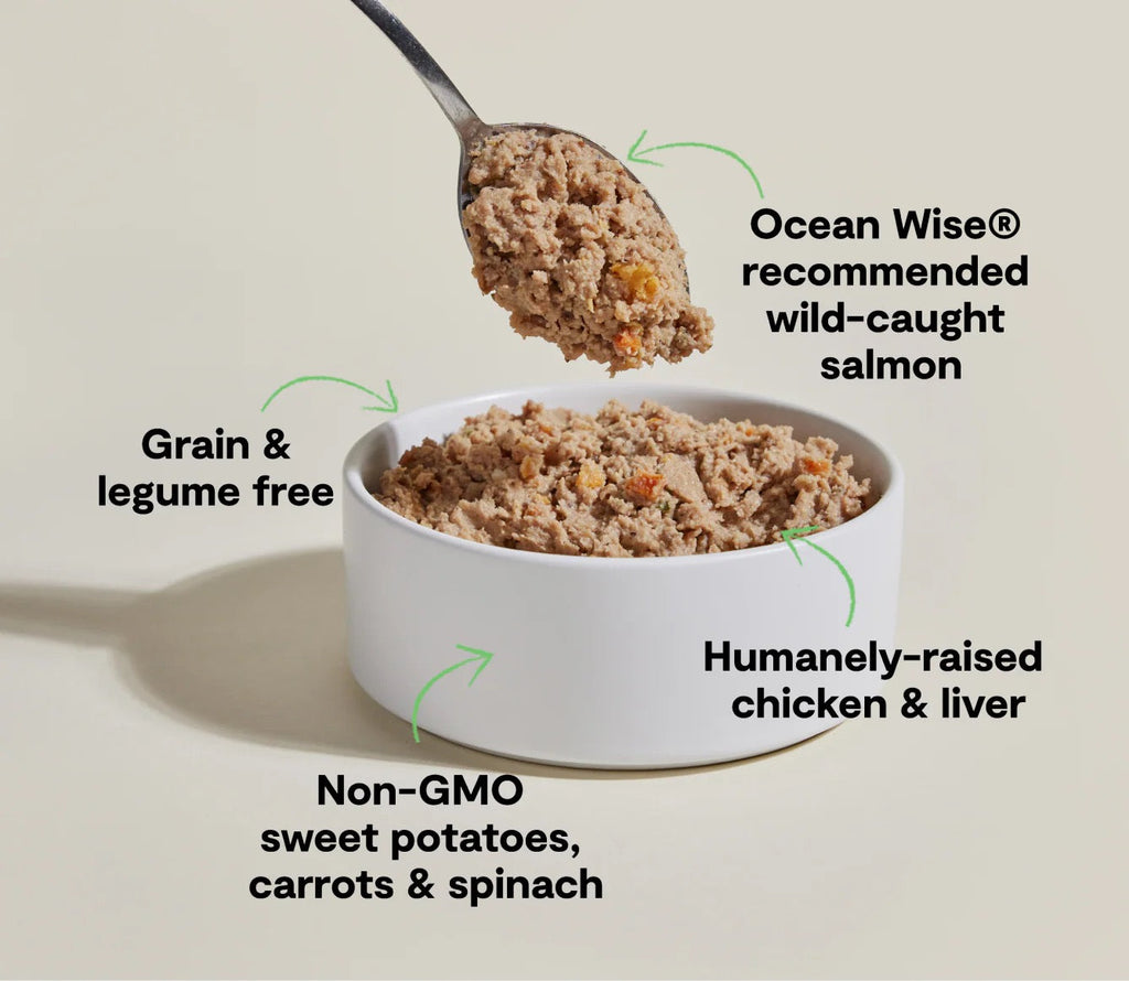 Wild-Caught Salmon & Chicken Pâté Wet Dog Food