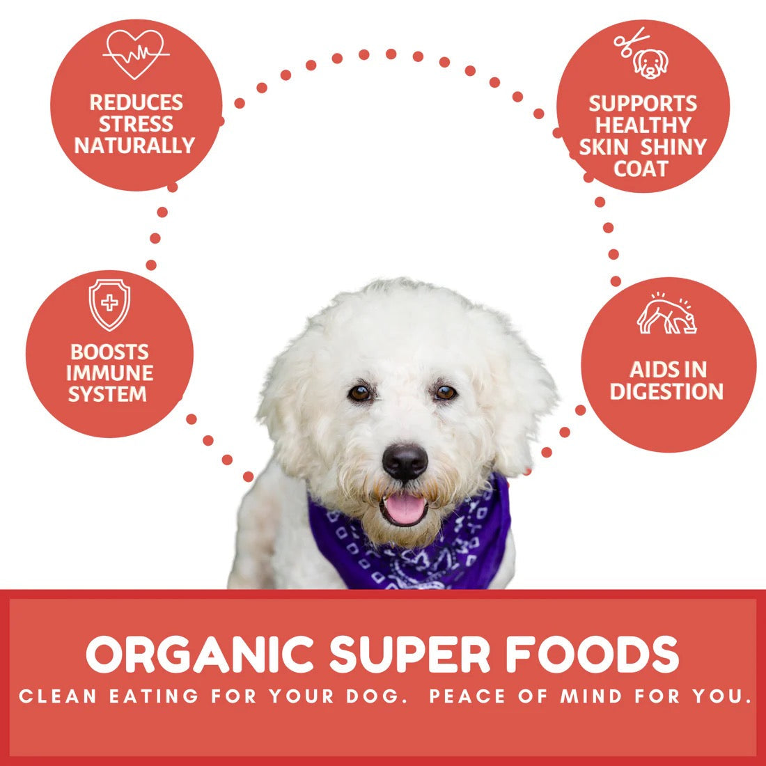 Organic Apple Cranberry Dog Treats with Oat Flour