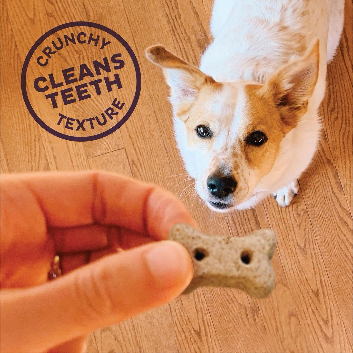 Oven-Baked Dog Biscuits with Hip & Joint Support