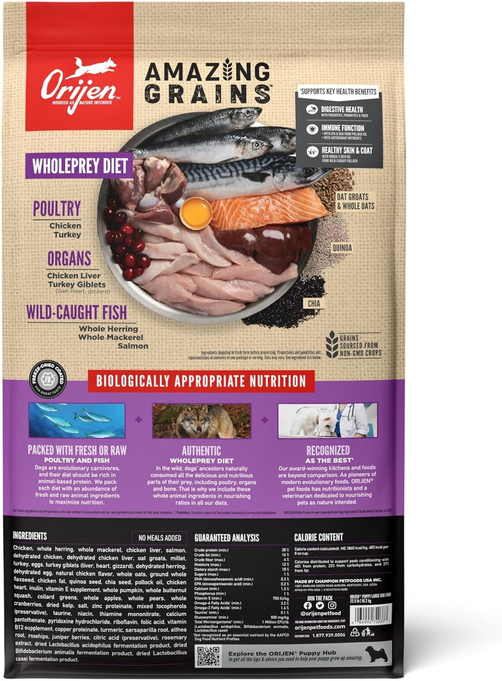 ORIJEN Amazing Grains Puppy Large Breed Dry Dog Food