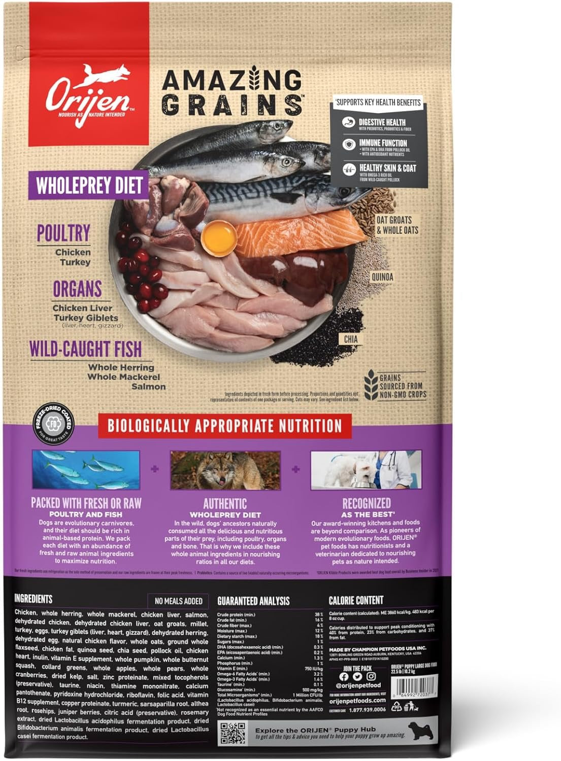 ORIJEN Amazing Grains Puppy Large Breed Dry Dog Food