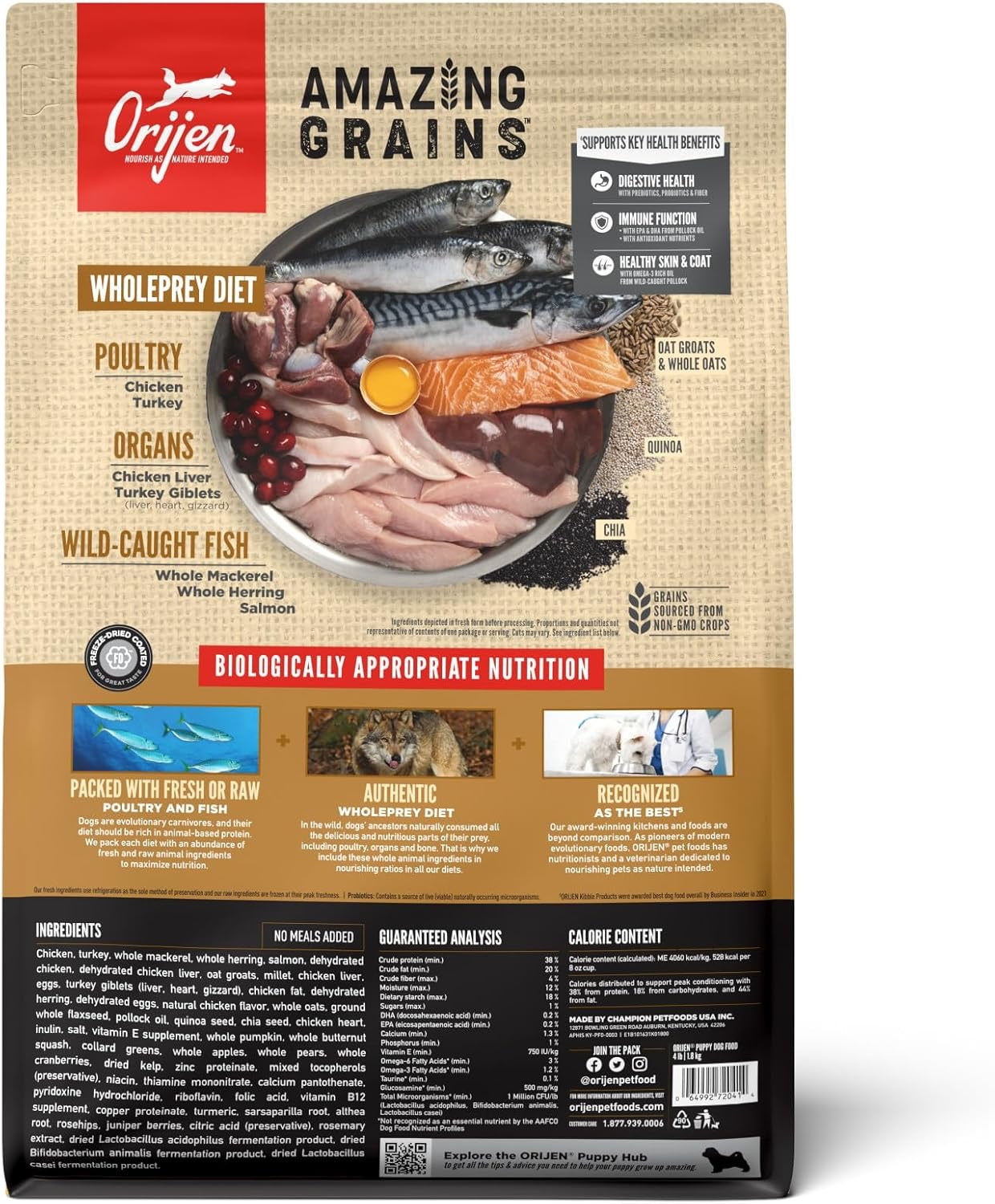 Puppy Food with Chicken, Turkey, Fish & Grains for Growth & Digestion